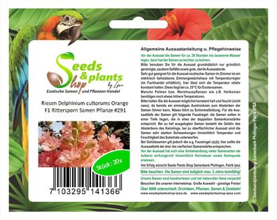 20x Riesen Delphinium cultorums Orange F1 Rittersporn Samen Pflanze #291