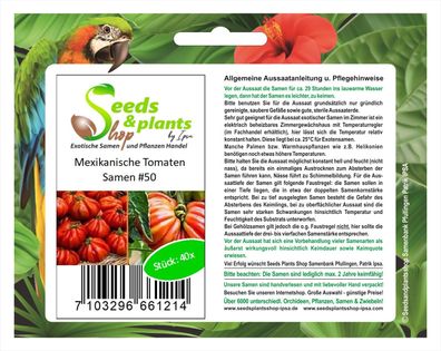40x Mexikanische Tomaten Samen Saatgut #50
