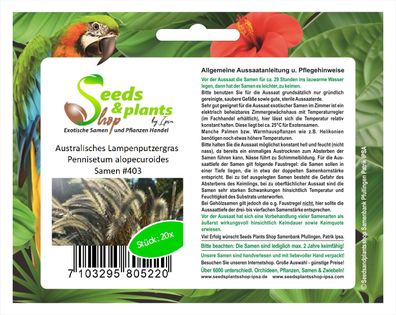 20x Australisches Lampenputzergras Pennisetum alopecuroides Samen #403