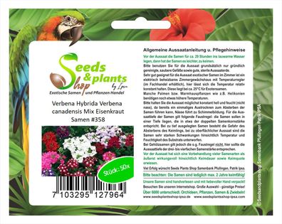 50x Verbena Hybrida Verbena canadensis Mix Eisenkraut Samen Garten #358