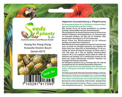 20x Huang Rui Xiang Xiang Krawatte Knoten Baum Pflanze Garten Saatgut #373