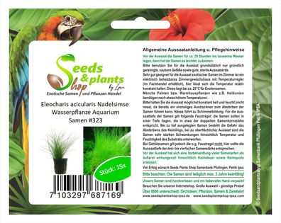 15x Eleocharis acicularis Nadelsimse Wasserpflanze Samen Aquarium #323