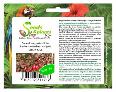 20x Sauerdorn Gewöhnliche Berberitze Berberis vulgaris Samen Strauch #355