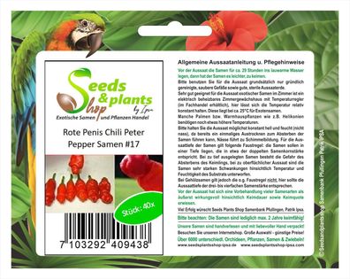 40x Penis Chili Peter Pepper rote Samen Saatgut #17