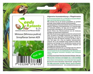 30x Mimose Mimosa pudica Sinnpflanze Samen Saatgut #29