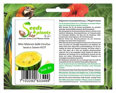 20x Mini Melonen Gelb Citrullus lanatus Samen Obst Pflanze Garten #137