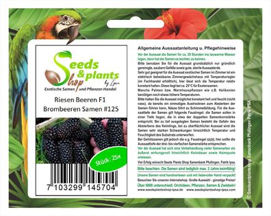 25x Riesen Beeren F1 Brombeeren Samen Pflanze essbar Obst Garten #125