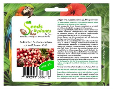 20x Radieschen Raphanus sativus Rot Weiß Samen Gemüse Garten #310