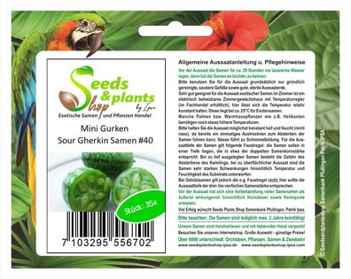 35x Mini Gurken Sour Gherkin Gemüse Samen Saatgut #40