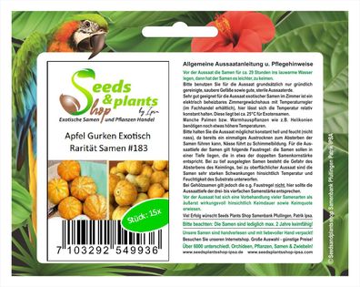 15x Apfel Gurken Samen Exotisch Saatgut Gemüse Pflanze Rarität #183