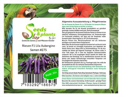 15x Riesen F1 Lila Aubergine Samen Garten Pflanze Küche Gemüse #275