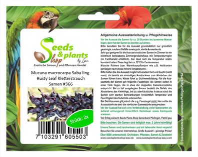 2x Mucuna macrocarpa Saba ling Rusty Leaf Kletterstrauch Samen #366