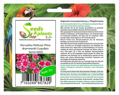 15x Sternphlox Petticoat Phlox drummondii Cuspidata Samen Garten #205