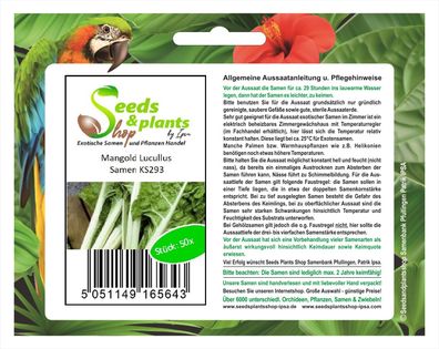 50x Mangold Lucullus - Samen Garten Gemüse Küche Salat Saatgut Pflanze KS293