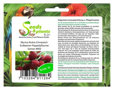 3x Myrica Rubra Chinesisch Erdbeeren Pappelpflaume Samen Obst #402