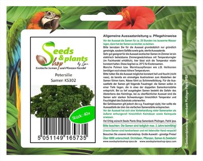 40x Petersilie - Petersiliensamen Samen Gemüse Küche Garten Pflanze KS302