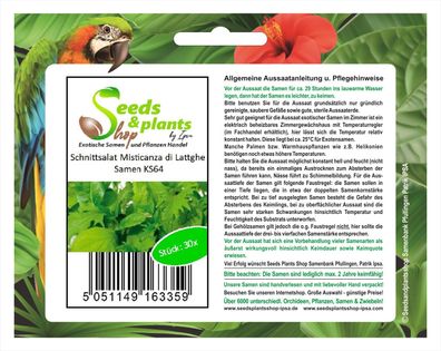30x Schnittsalat Misticanza di Lattghe - Salat Samen Garten Pflanze KS64