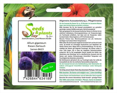 15x Allium giganteum Samen Garten Riesen Zierlauch Frisch Pflanze Neu B623