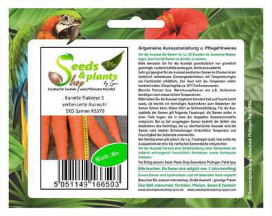 30x Karotte Flakkese 2 verbesserte Auswahl EKO Möhre Samen Gemüse KS379