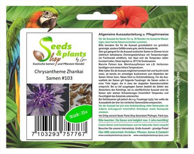25x Chrysantheme Zhankai Blumen Samen Pflanze Rarität Saatgut #103
