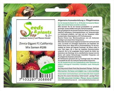 25x Zinnia Gigant F1 California Mix Samen Pflanze Blumen Garten #186