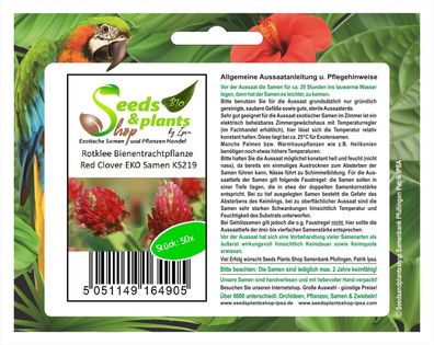 50x Rotklee Bienentrachtpflanze Red Clover EKO Samen Saatgut Neu KS219