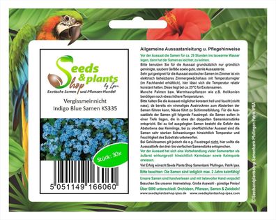 30x Vergissmeinnicht Indigo Blue-Samen Pflanze Blume Saatgut Garten KS335