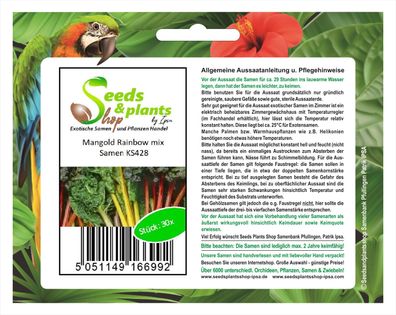 30x Mangold Rainbow mix - Samen Garten Gemüse Küche Saatgut Pflanze KS428