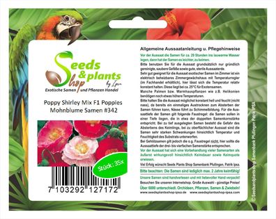 35x Poppy Shirley Mix F1 Poppies Samen Mohnblume Pflanze Garten #342