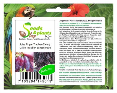 15x Spitz Finger Trauben Zwerg Dattel Trauben Samen Obst Garten #208