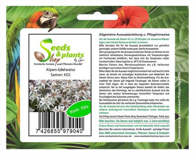 750x Alpen-Edelweiss Leontopodium alpinum Samen Blumen Frisch Saat K65