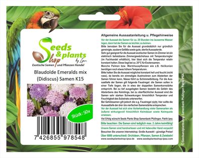50x Blaudolde Emeralds mix (Didiscus)-Samen Garten Blumen Saatgut K15