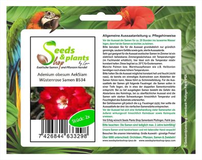 2x Adenium obesum AekSiam Wüstenrose Zimmer Pflanze Saatgut Samen Garten B534