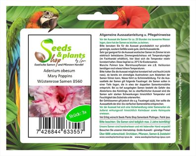 3x Adenium obesum Mary Poppins Wüstenrose Zimmer Saatgut Samen B560