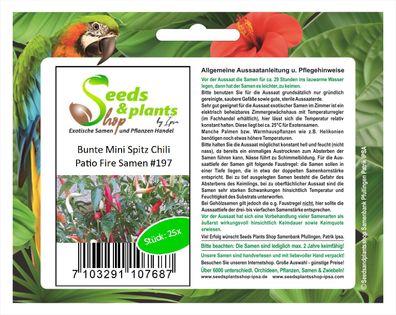 25x Bunte Mini Spitz Chili Patio Fire Samen Garten Pflanze Gemüse #197