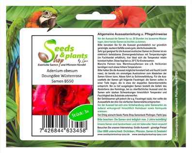 3x Adenium obesum Doungdee Wüstenrose Zimmer Pflanze Saatgut Samen Garten B550