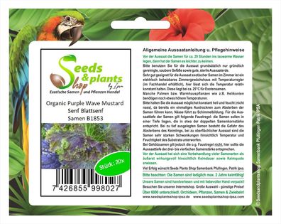 20x Organic Purple Wave Mustard Samen Senf Blattsenf Pflanze Küche B1853