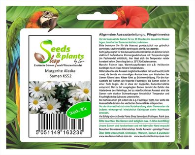30x Margerite Alaska - Schokoladenblume Samen Garten Blume Saatgut KS52