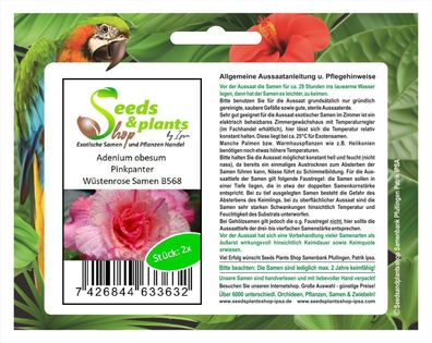 2x Adenium obesum Pinkpanter Wüstenrose Zimmer Saatgut Samen B568