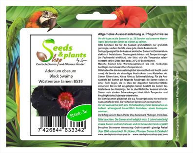 3x Adenium obesum Black Swamp Wüstenrose Saatgut Samen Garten B539