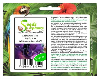 3x Adenium obesum Royal Purple Wüstenrose Zimmer Saatgut Samen B575