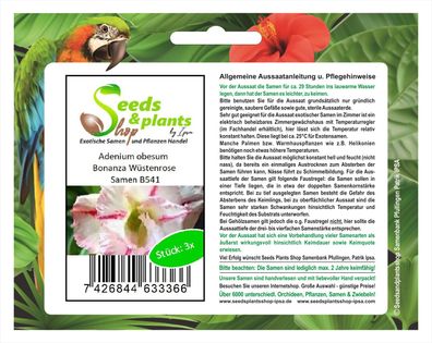 3x Adenium obesum Bonanza Wüstenrose Samen Pflanze Saatgut Samen Garten B541