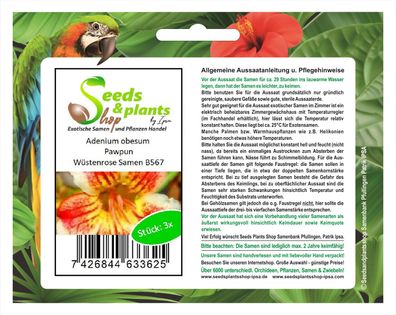 3x Adenium obesum Pawpun Wüstenrose Zimmer Saatgut Samen Neu B567