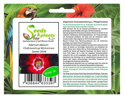 3x Adenium obesum Choktaveetrup Wüstenrose Saatgut Samen Garten B544