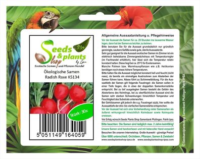 30x Ökologische Samen Radish Raxe - Samen Radieschen Gemüse Salat KS134