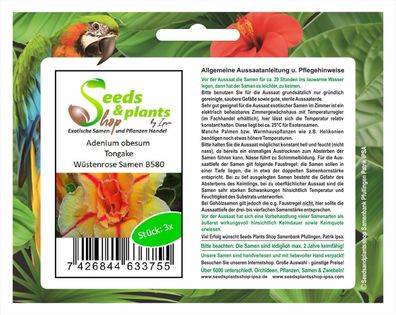 3x Adenium obesum Tongake Wüstenrose Zimmer Saatgut Samen Neu B580