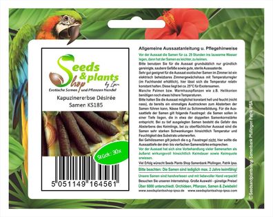 30x Kapuzinererbse D&eacute; sir&eacute; e - Graue Erbsen Samen Pflanze Gemüse KS185