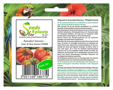 30x Pomodori Tomaten - Cuor di Bue - Ochsenherz- Samen Gemüse Garten KS406