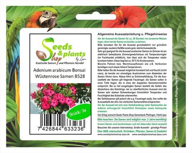 3x Adenium arabicum Bonsai Wüstenrose Zimmer Saatgut Samen Garten B528