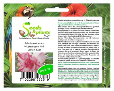 5x Adenium obesum Wüstenrosen Pink Zimmerpflanze Samen Pflanze #384